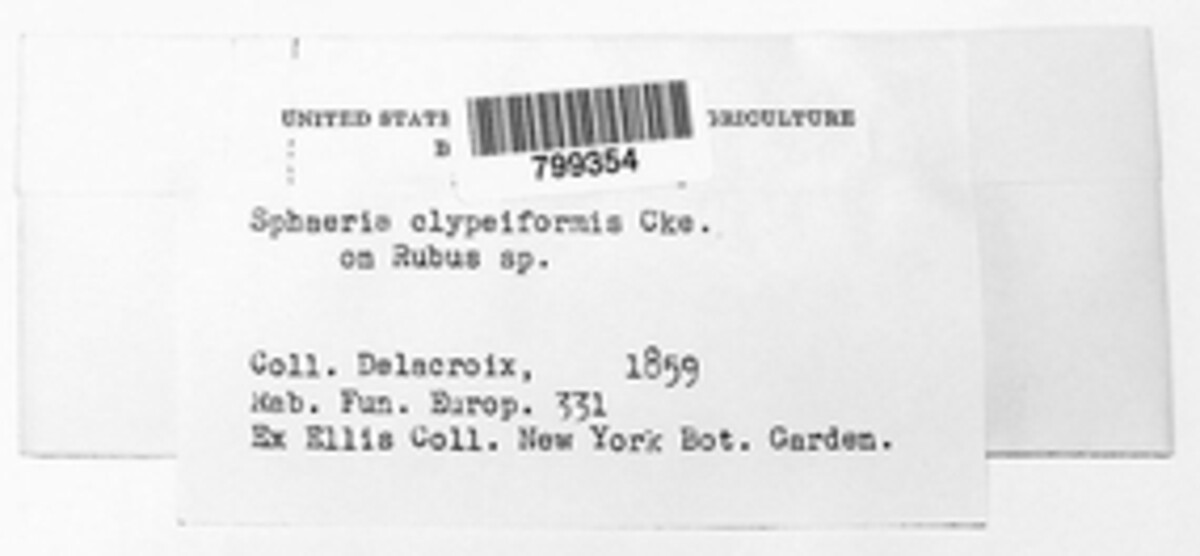 Sphaeria clypeiformis image